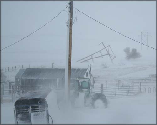 Blizzard 4-30-2011  - downed WAPA lines