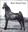 Bum's Storm Cloud