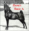 Ebony's Threat A