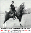 Merry Boy's F88