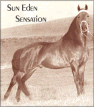 Sun Eden Sensation
