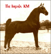 The Impala KM