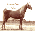 Golden Sun Allen