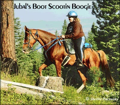 JUBALS BOOT SCOOTIN BOOGY #20401260 