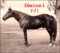 DIRECTUM J. F-71